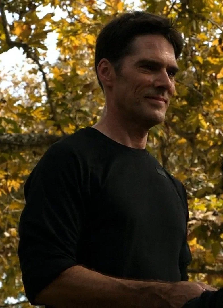 Aaron Hotchner | Voice