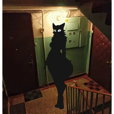 "Last Floor"