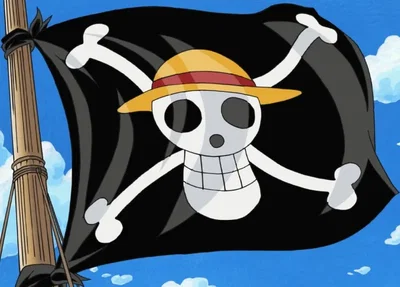 One piece secret admires