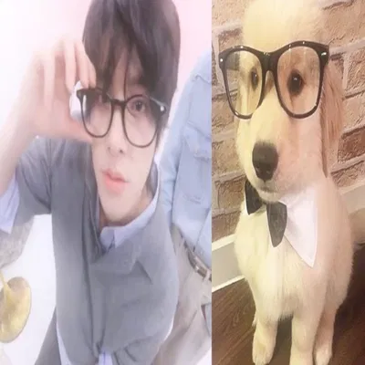 Sim Jaeyun