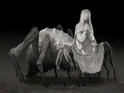 Noctua the Arachne