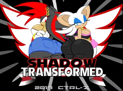 Shadow Transformed | Sonic Transformed 3