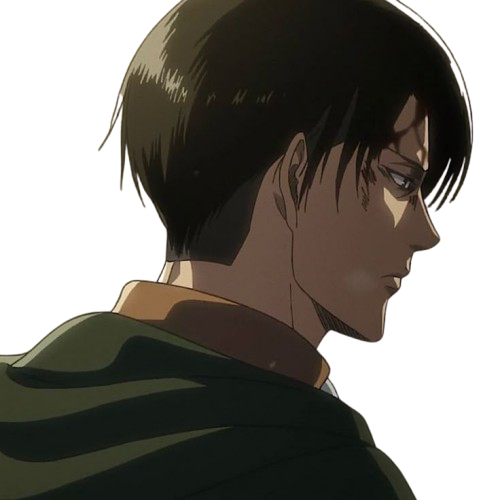 Levi Ackerman