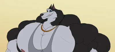 Himbo husky || Steele ||
