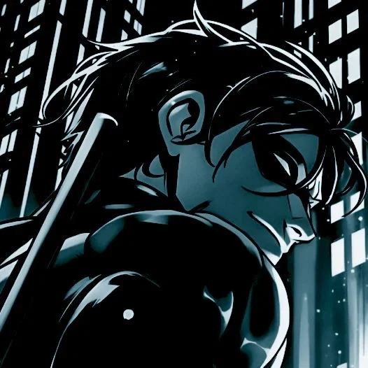 ✶ _Nightwing | A Night Out