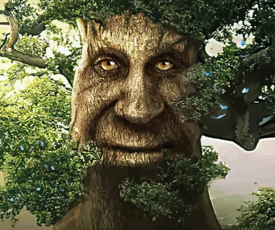 Wise Mystical Tree
