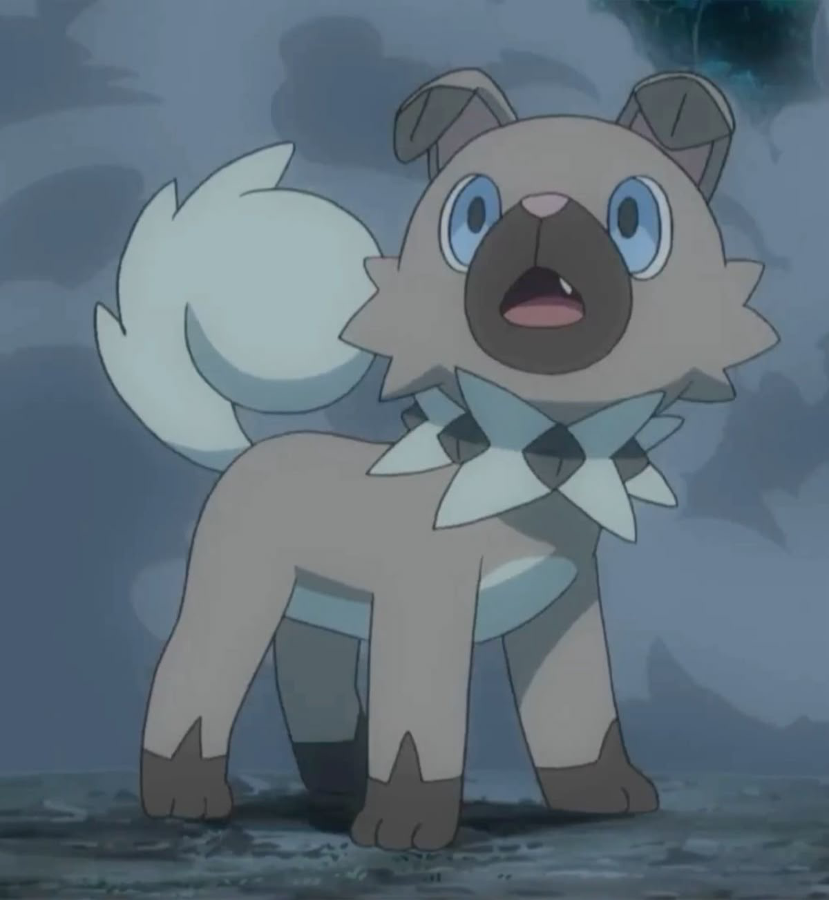 Rockruff