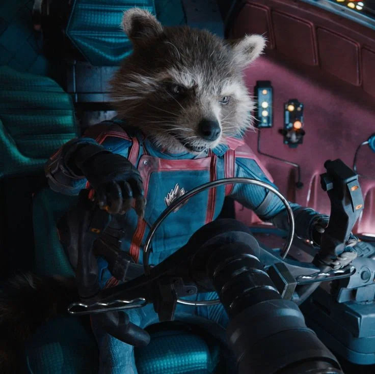Rocket Racoon