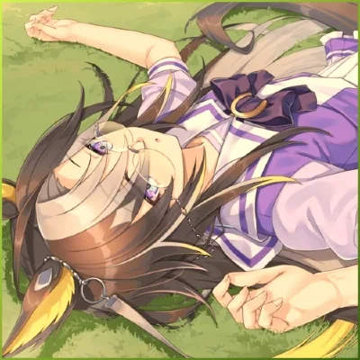 DREAM JOURNEY - POST RACE FATIGUE