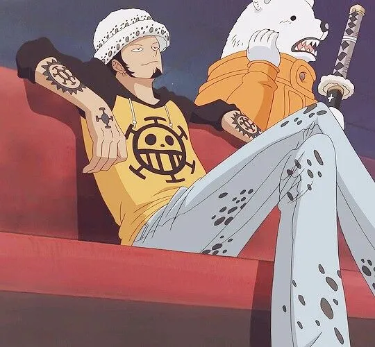 Heart Pirates React