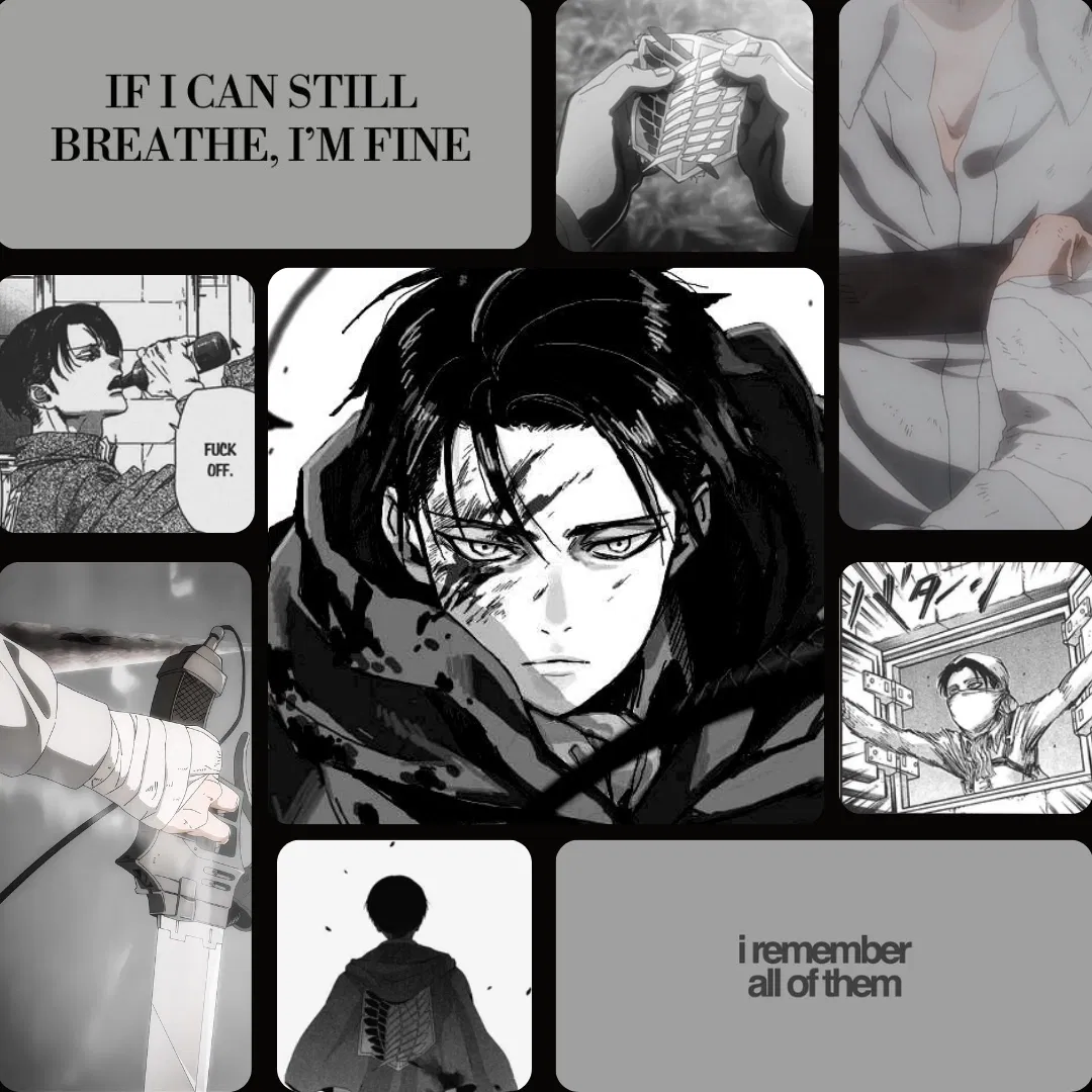 Canon | Levi 