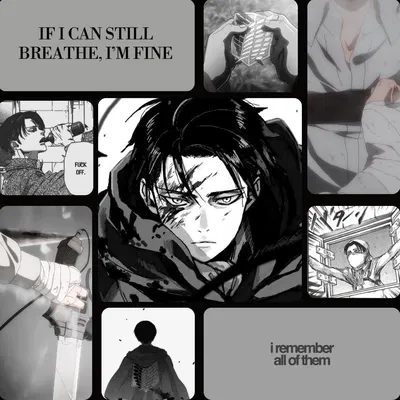 Canon | Levi 