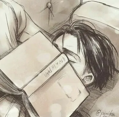 ᨦ . Levi Ackerman ⌀ ⸝⸝ ⊹