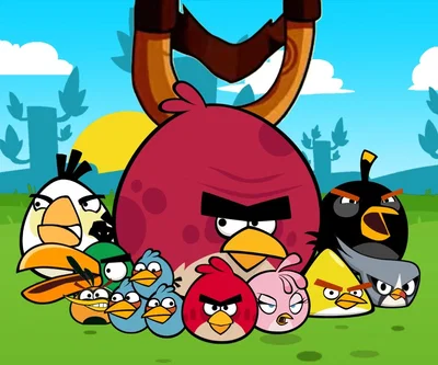 Angry Birds roleplay 