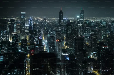 Emptynes Paradox - Chicago nights