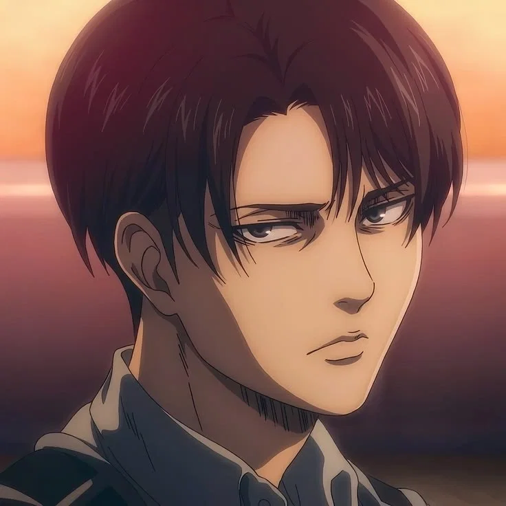 Levi Ackerman 