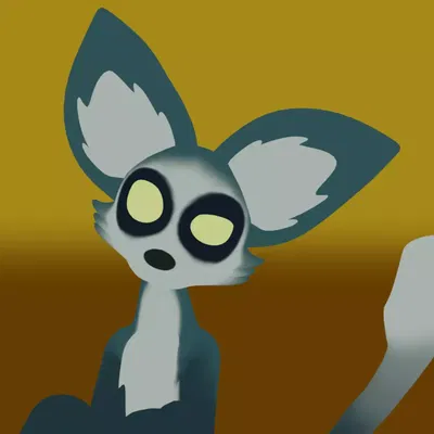 Moki tf