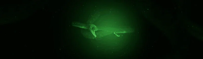 SCP-3000 - Encounter