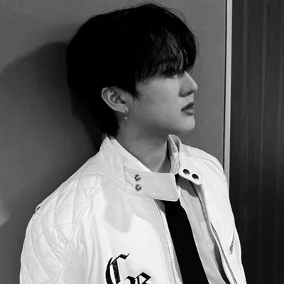 𖦹 Seo Changbin - Only Skin