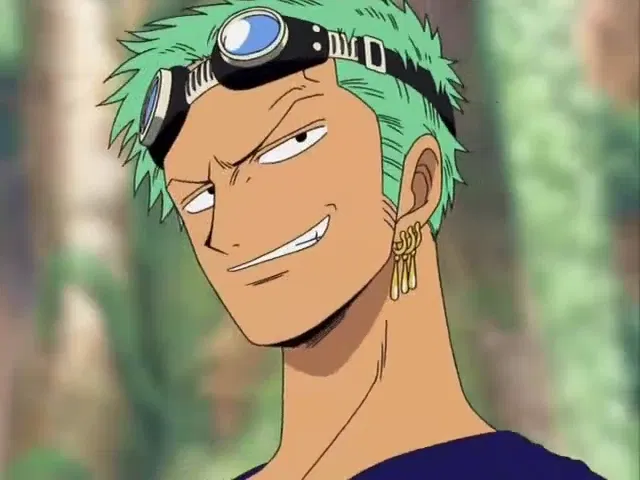 Roronoa Zoro-Giant Hibiscuses 