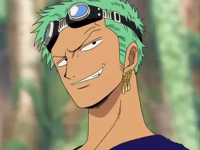 Roronoa Zoro-Giant Hibiscuses 