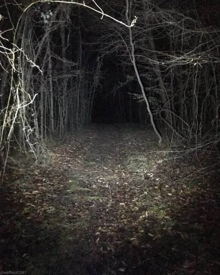 Massachusetts Whispers - Horror RPG