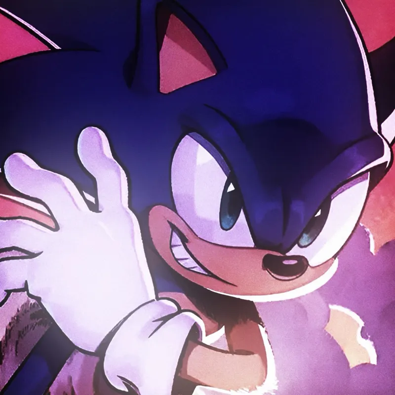 Sonic the hedgehog 
