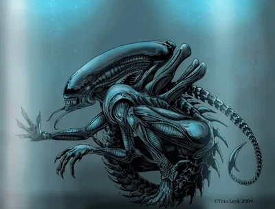 Xenomorph exhibit (Zoo)