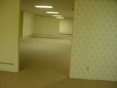 Trapped In The Backrooms-rpg