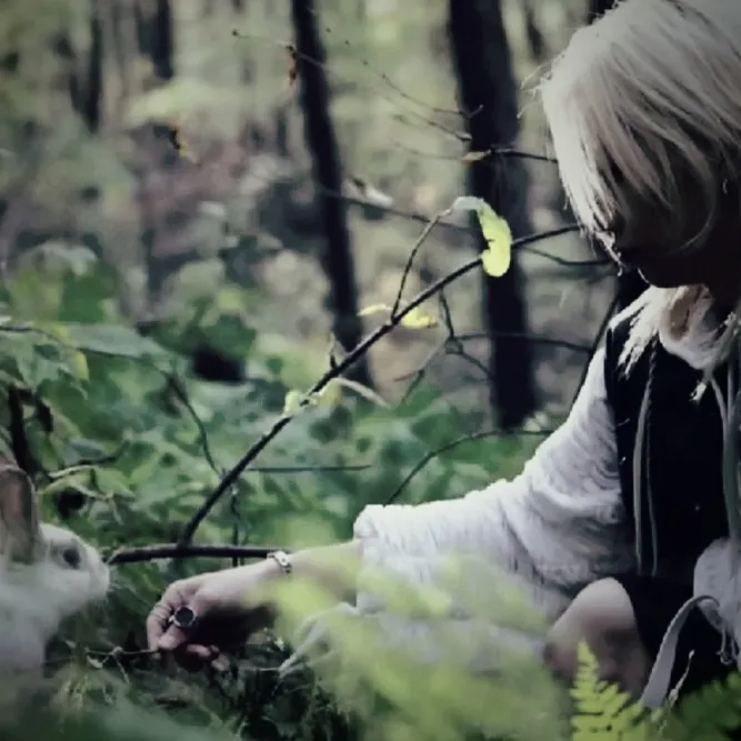 Lee Felix - Predator/Prey