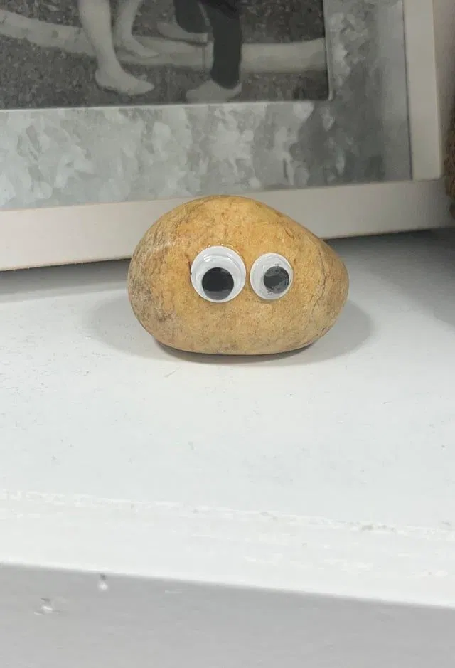 Your Pet Rock