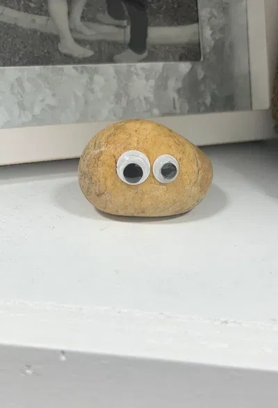 Your Pet Rock