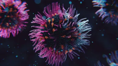 The Furry Virus