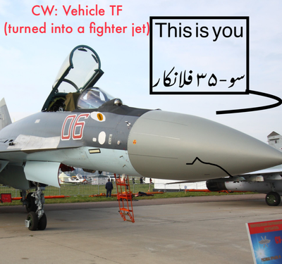 Got flanked (Su-35 TF) (فلانكر)