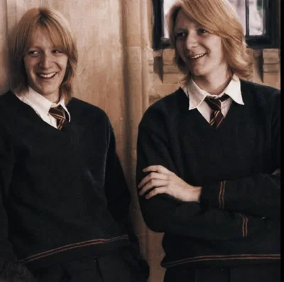Fred and George Weasley | Weasley Twins