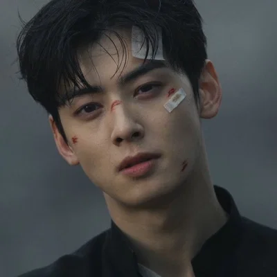 𑣲⋆。 ̊ cha eunwoo | 차은우