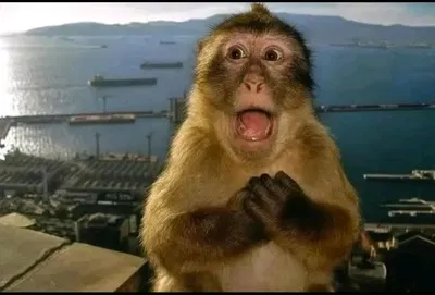 heyyyyyyuyyyy