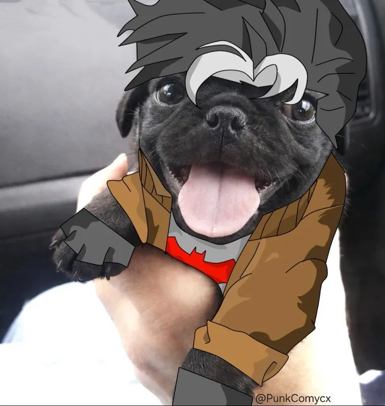 Jason Todd Dog Curse