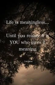 Life is pointless 