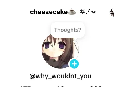 My TikTok!