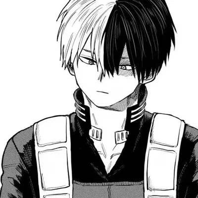 Shoto Todoroki