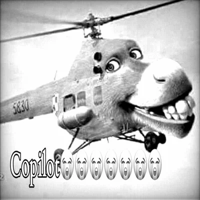 Copilot😭😭😭😭😭😭😭