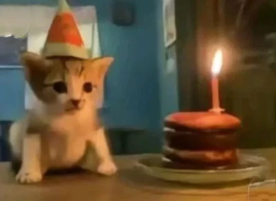 CELEBRATION!!!!🎉🎊🎂🍰