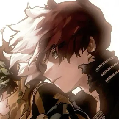 Shoto Todoroki - BNHA