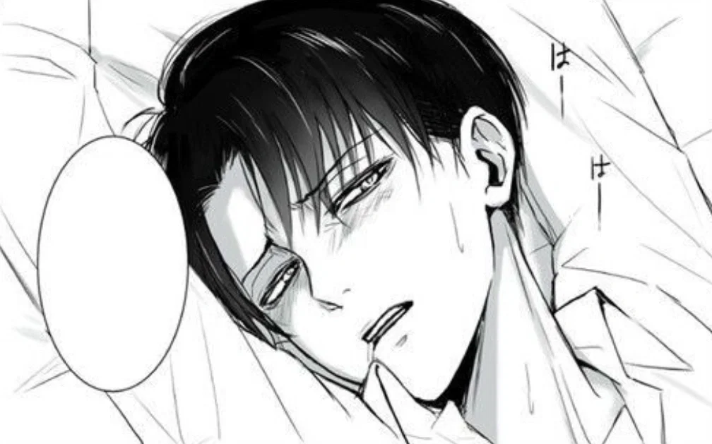 AOT - Levi Ackerman 