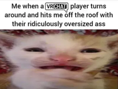 I apologize again 