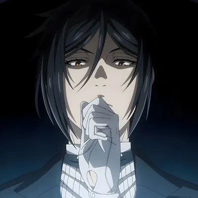 Sebastian Michaelis ★ BLACK BUTLER