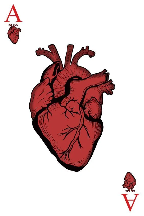 ⋆。𖦹°⭒ ̊。⋆Rogue of Hearts⋆. 𐙚  ̊❀⋆.ೃ࿔*:・