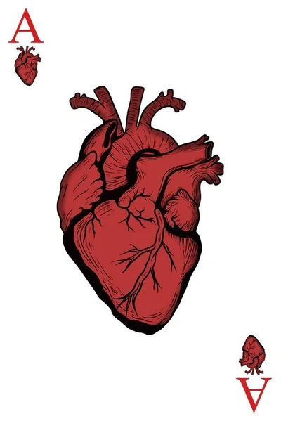⋆。𖦹°⭒ ̊。⋆Rogue of Hearts⋆. 𐙚  ̊❀⋆.ೃ࿔*:・