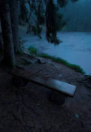 Aurora Woods | Alone
